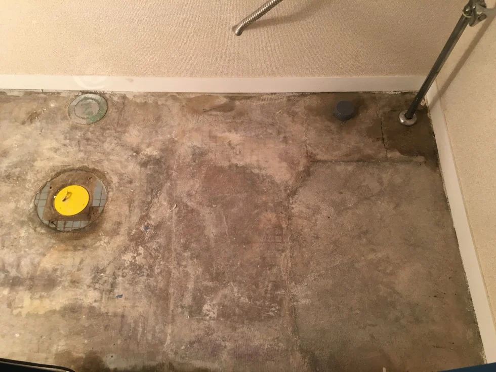 早稲田事務所 トイレ床貼りの掲載写真・図版